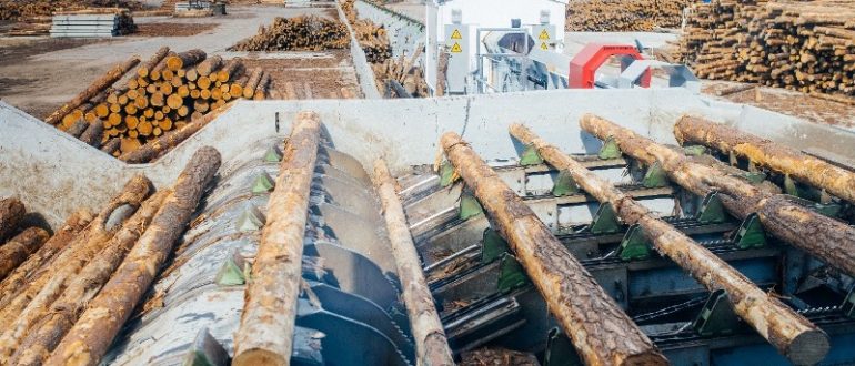 Почему важно сортировать брёвна?