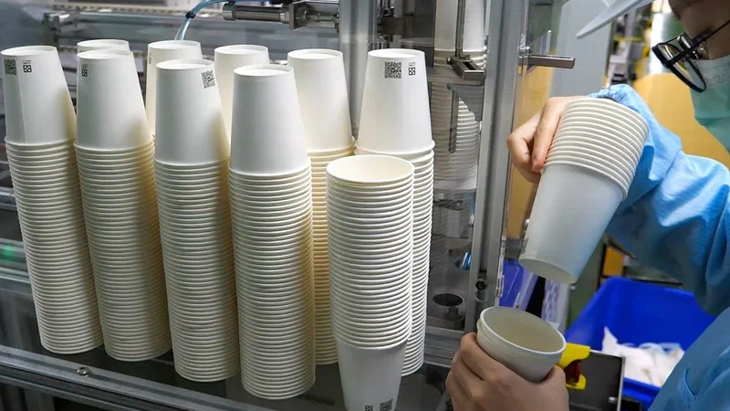 Бумажные стаканчики: как устроено производство и из чего они делаются